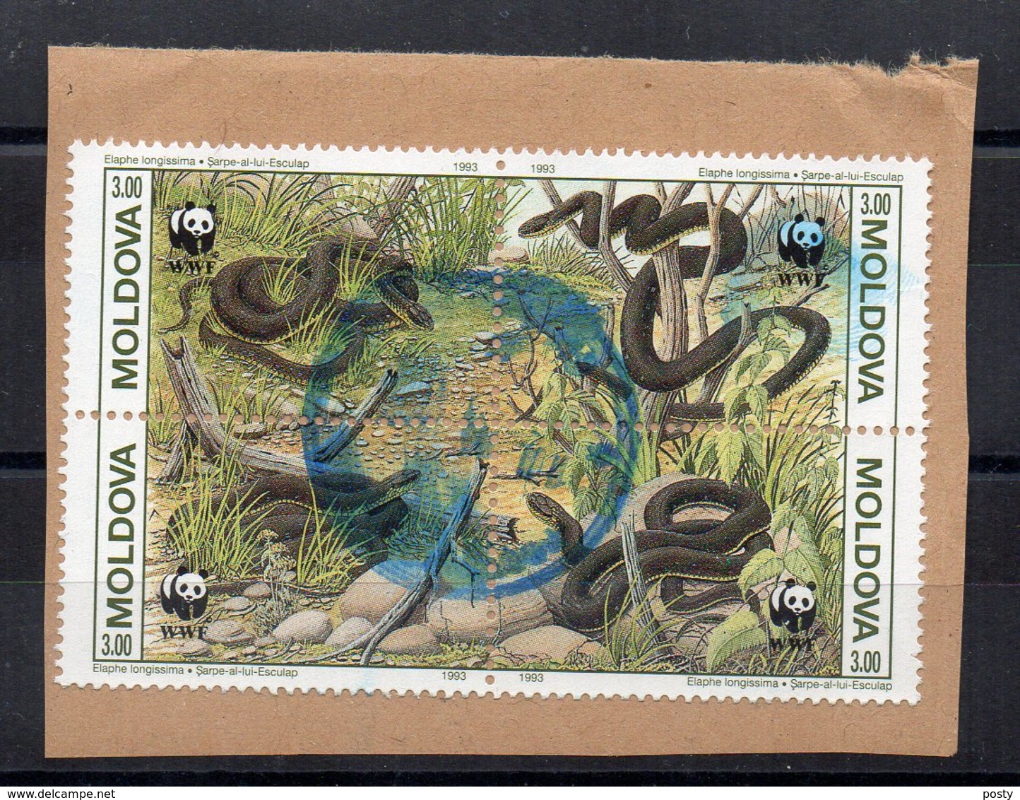 MOLDAVIE - MOLDOVA - WWF - SNAKES - SERPENTS - BLOC DE 4 - 1993 - Oblitéré / Sur Fragment - Unstucked / Used - - Moldavie