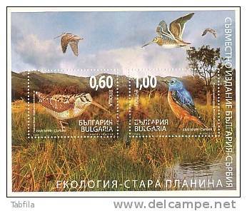 BULGARIA - 2009 - Ecology - Oiseaux - Emision Commune - Bulgarie - Serbien - Bl** - Environment & Climate Protection