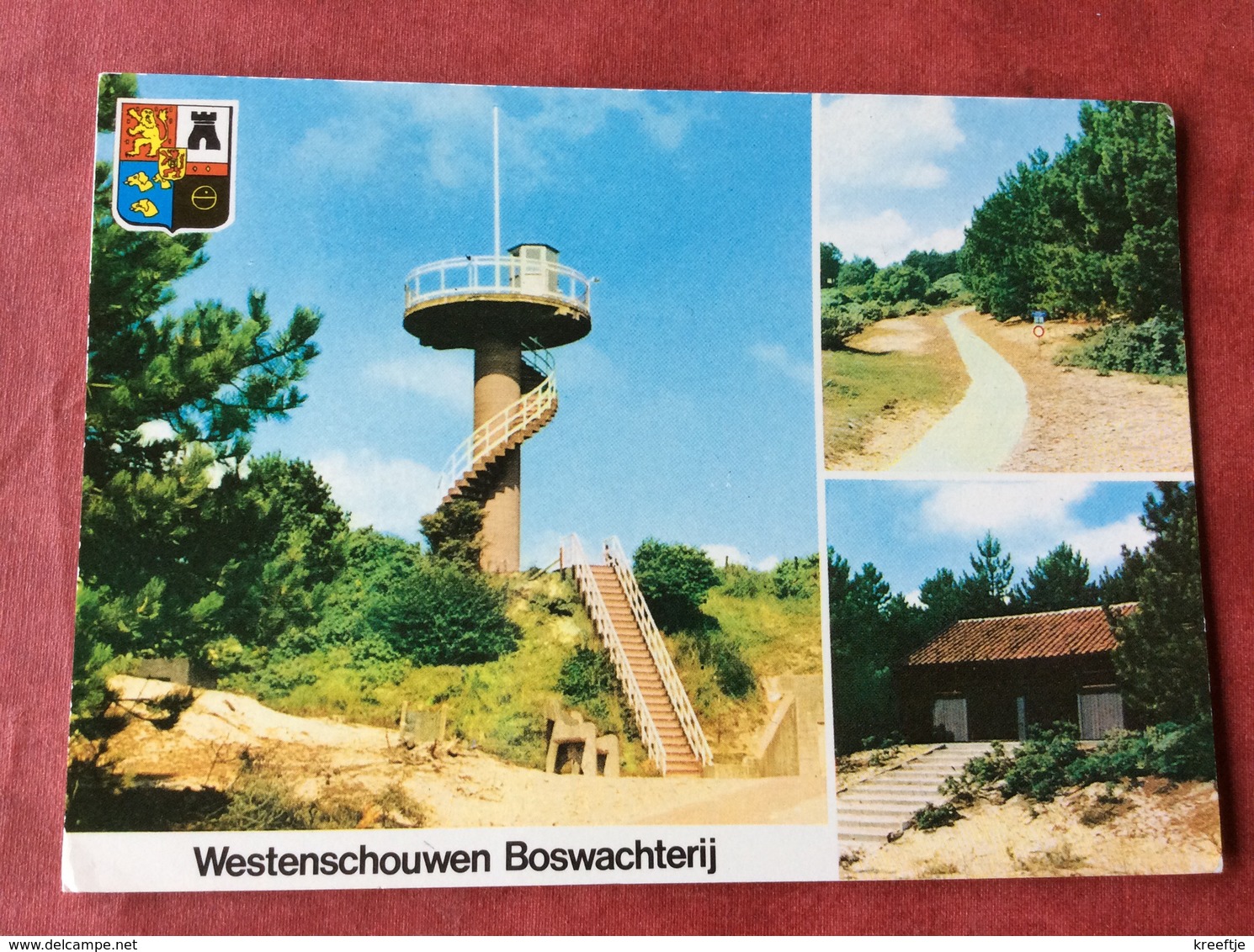 Nederland. Pays-Bas. Holland. Westenschouwen. Burg-Haamstede. Boswachterij - Renesse