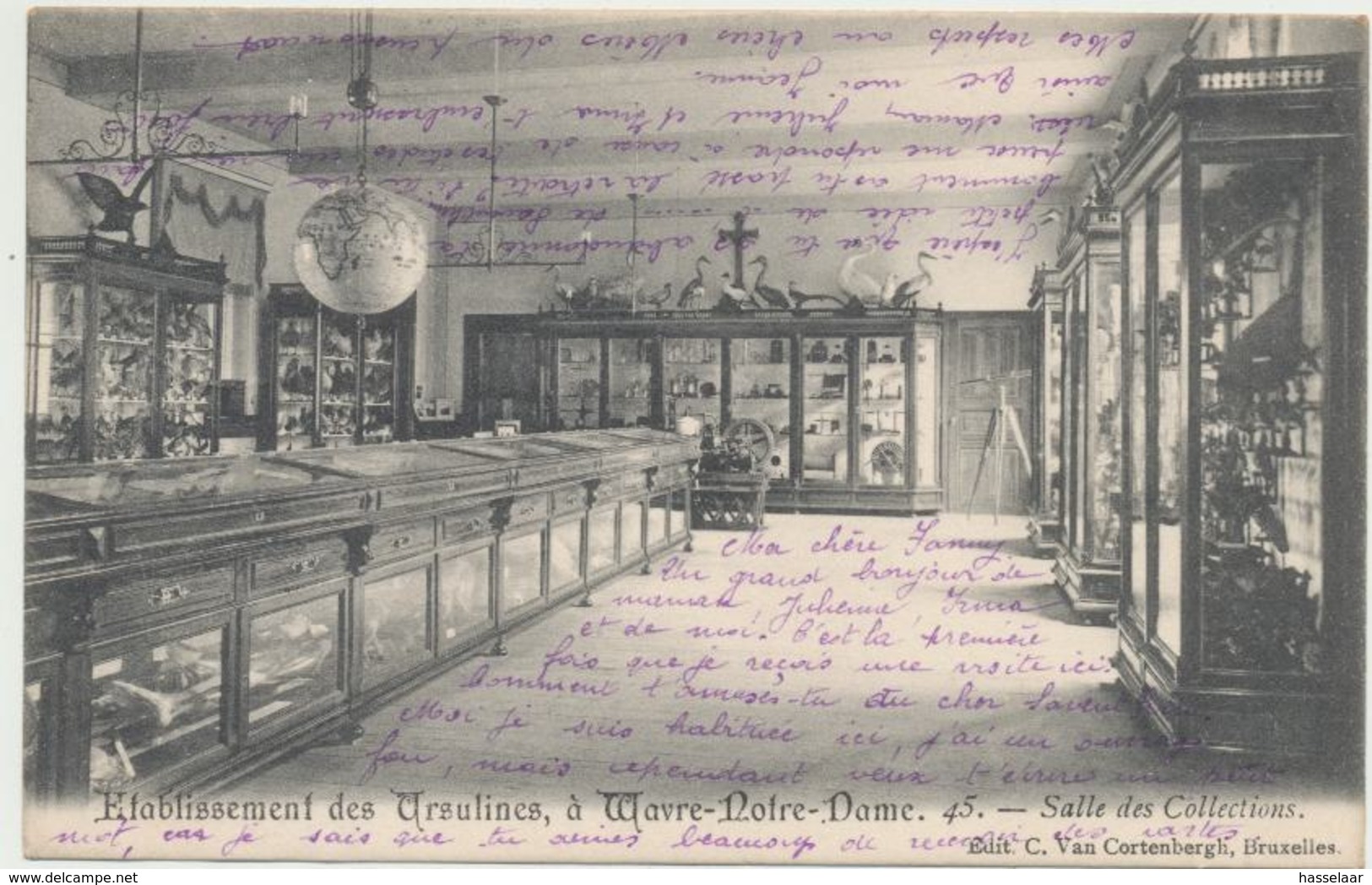 Wavre-Notre-Dame - Etablissement Des Ursulines - Salle Des Collections - 1904 - Sint-Katelijne-Waver