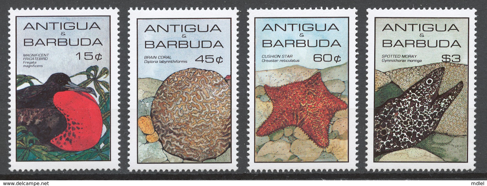 Antigua And Barbuda 1985 Mi# 880-83** MARINE LIFE - Antigua Et Barbuda (1981-...)