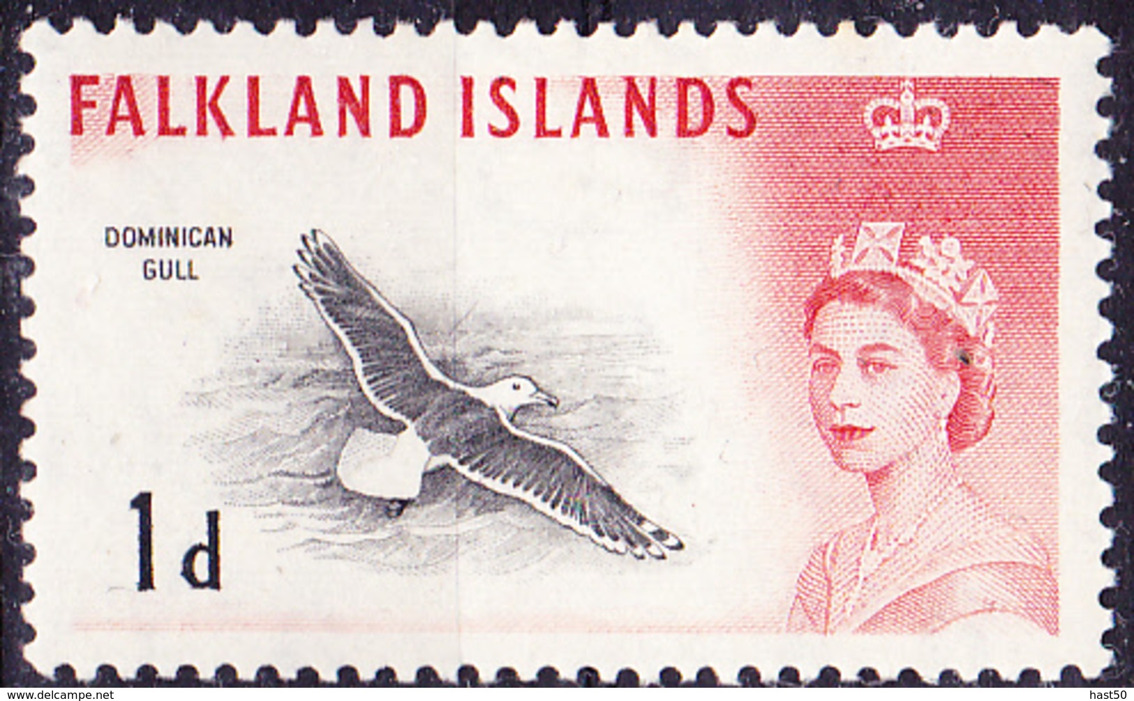 Falkland-Inseln - Dominikanische Möwe (Larus Dominicanus) (MiNr. 124) 1960 - Mit Falzspur - Falkland Islands