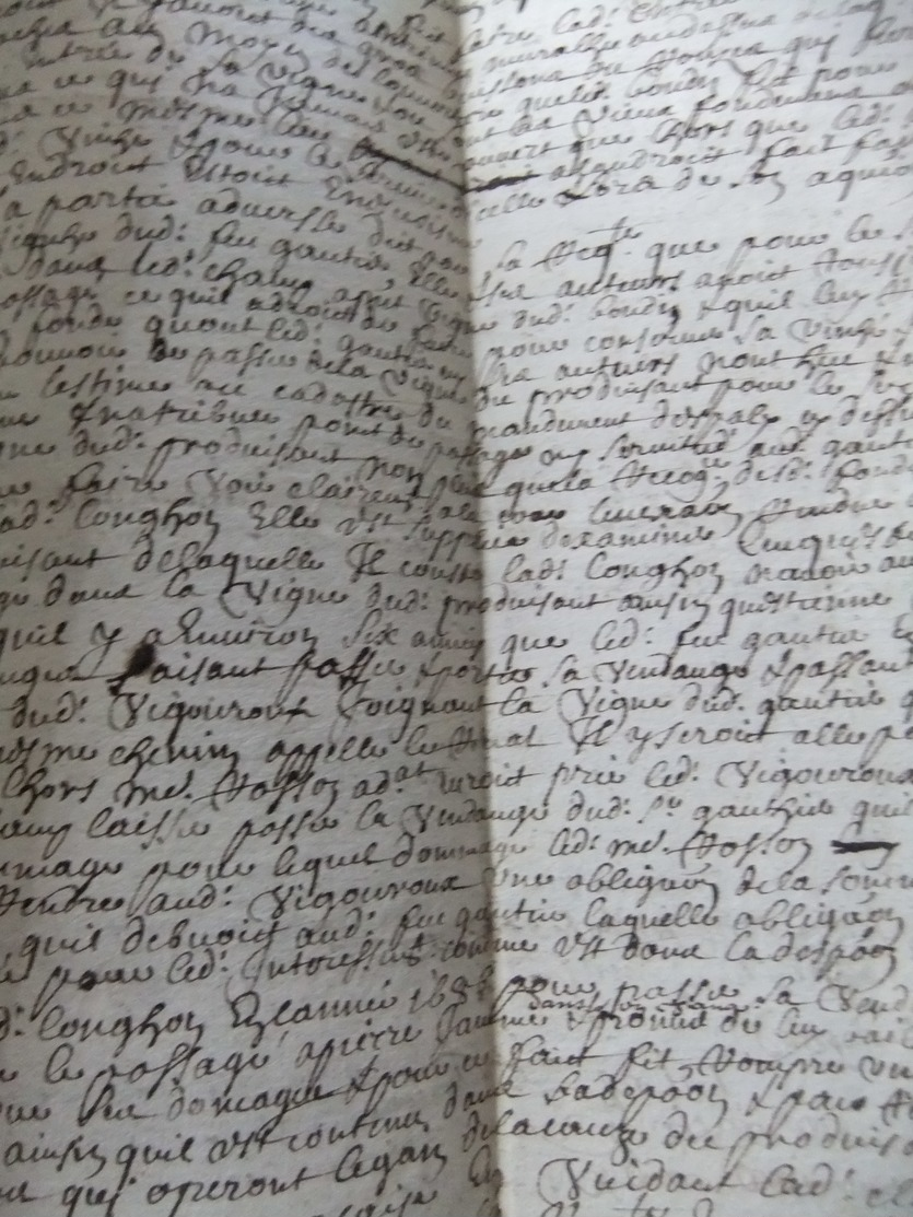 Document  LE PUY 1688 - Documents Historiques