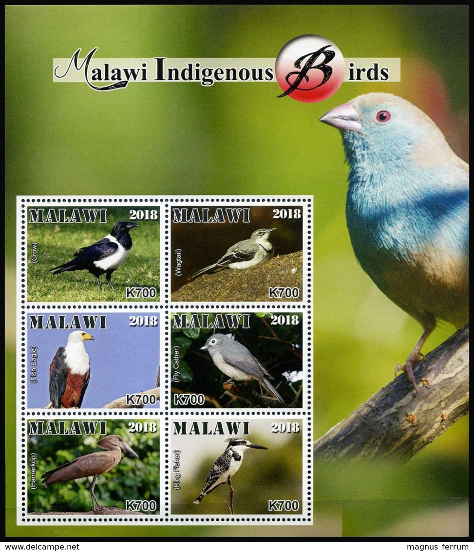 2018 Malawi, Fauna, Birds, Mini-sheet, MNH - Altri & Non Classificati