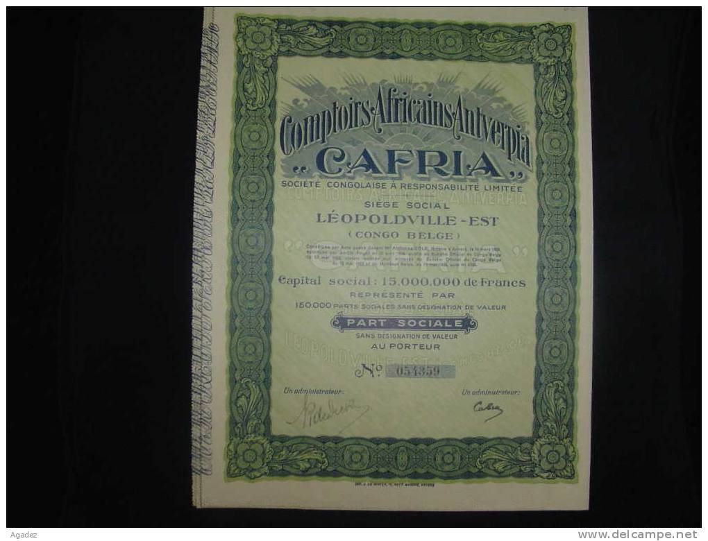 Part Soc."Cafria"Comptoirs Africains Antverpia Leopoldville Congo Belge 1928. - Afrique