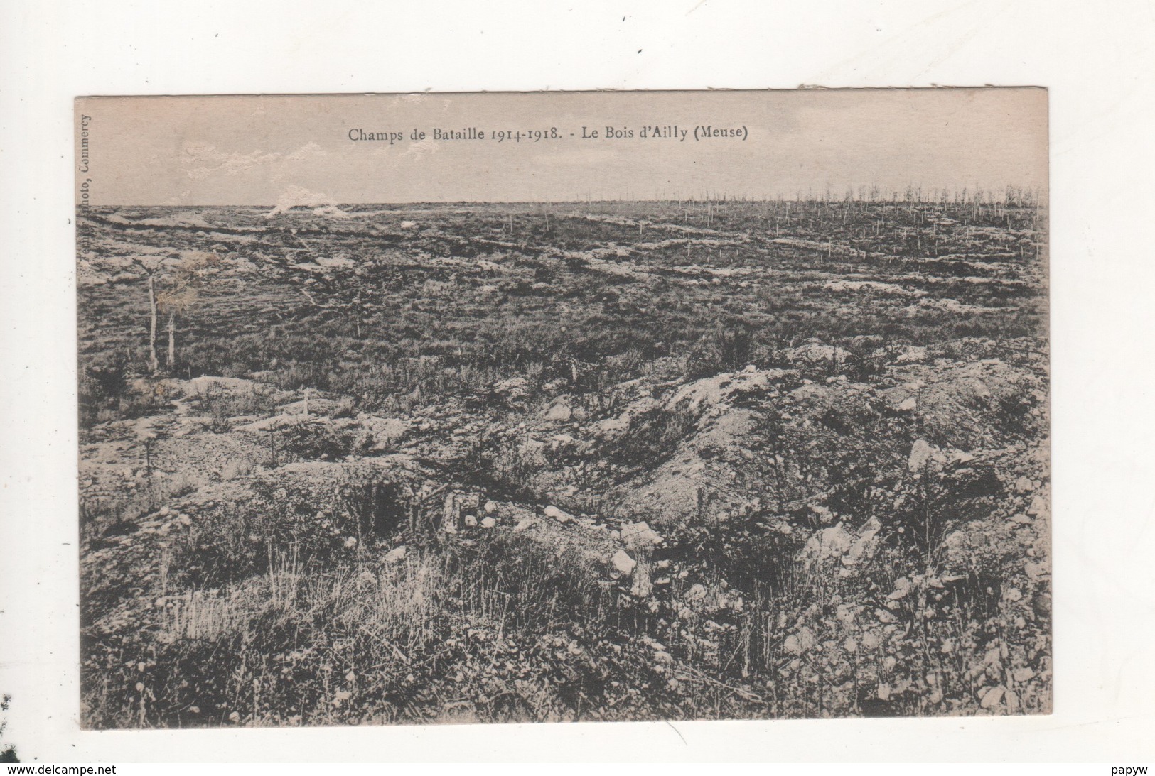 Champ De Bataille Le Bois D Ailly Meuse - Guerre 1914-18