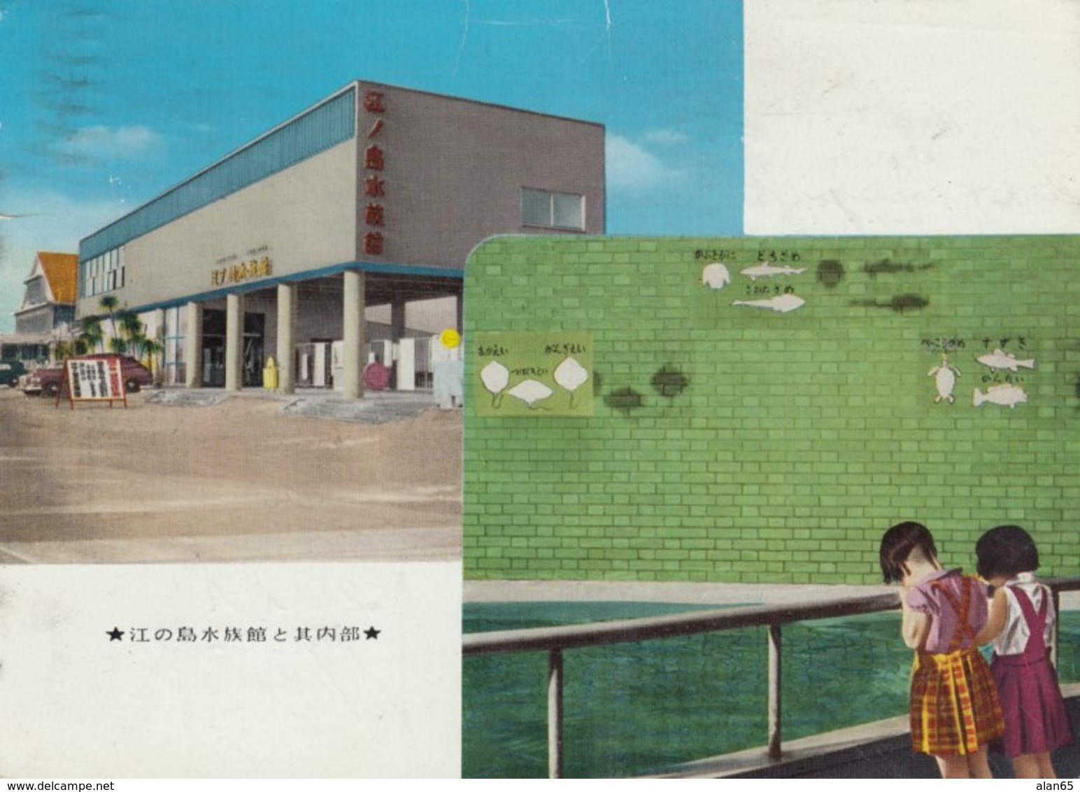 Enoshima Japan Aquarium, Interior View, Girls Look In Tank, C1960s Vintage Postcard - Other & Unclassified