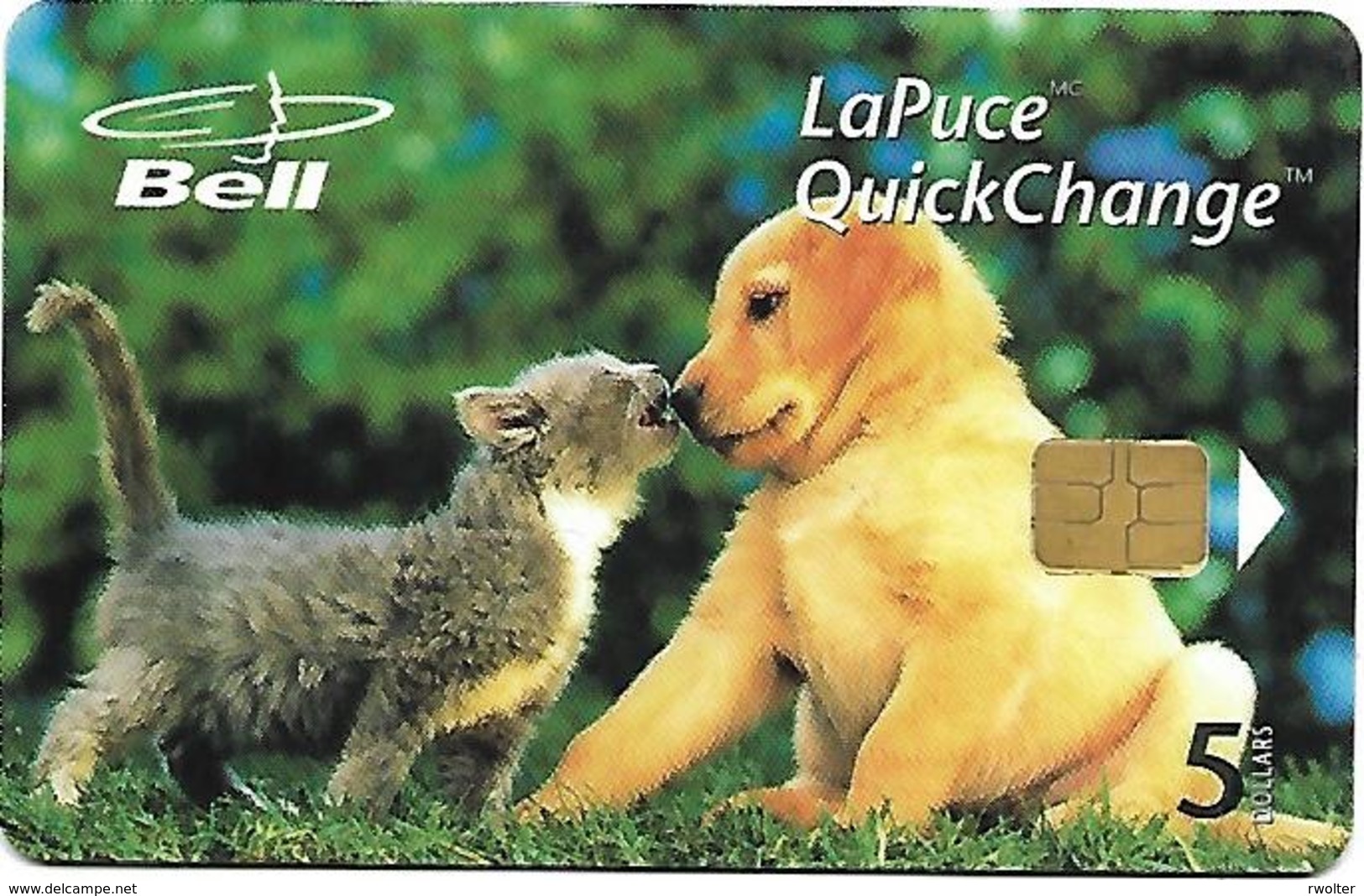 @+ Canada - Quebec - Bell -  Chien Et Chat - Ref : B30078 (1998) - Canada