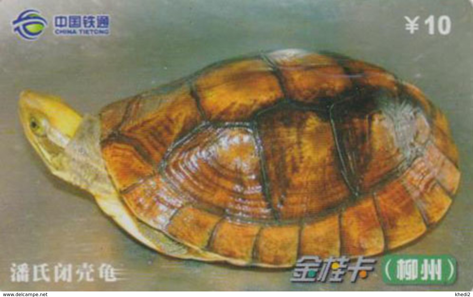 Télécarte Chine Tietong - Animal - TORTUE - TURTLE Phonecard - SCHILDKRÖTE Telefonkarte - 103 - Turtles