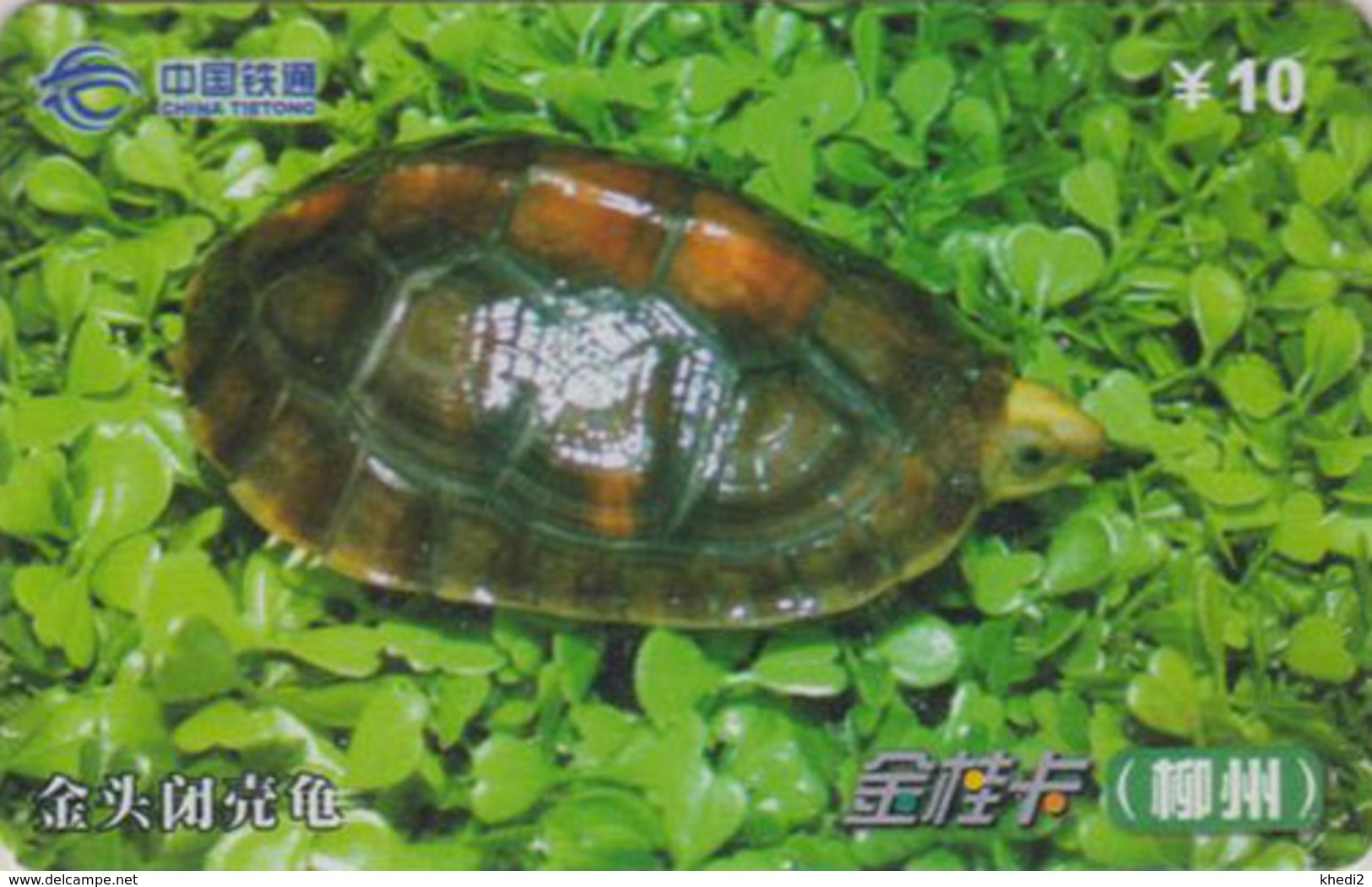 Télécarte Chine Tietong - Animal - TORTUE - TURTLE Phonecard - SCHILDKRÖTE Telefonkarte - 104 - Turtles