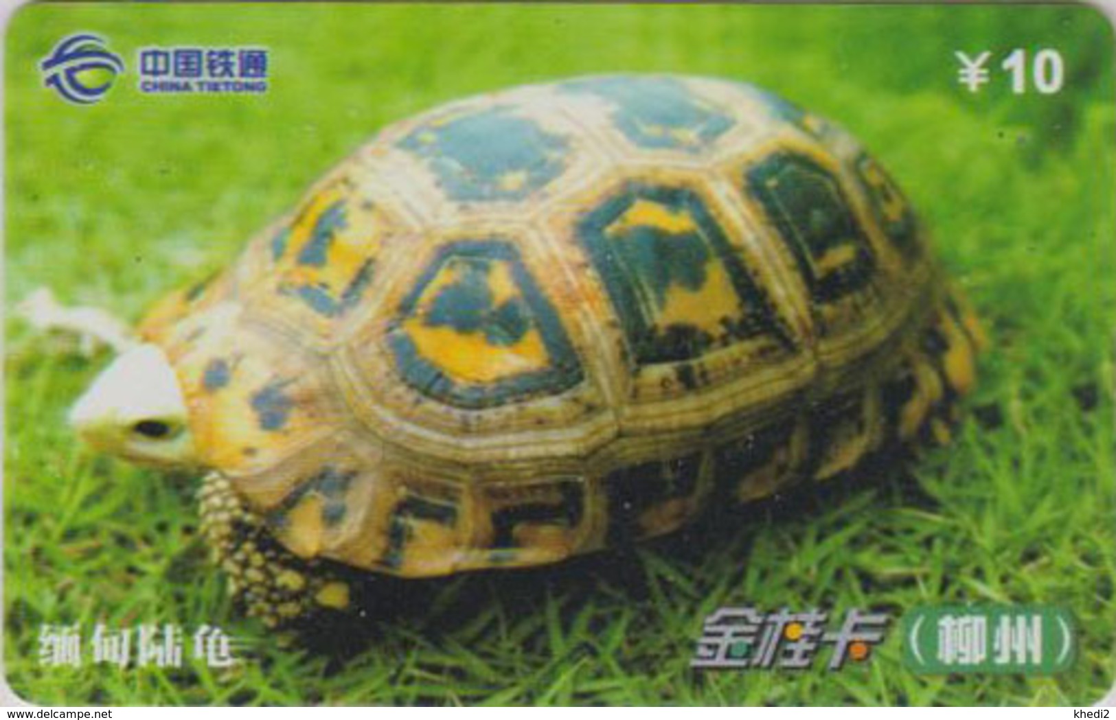 Télécarte Chine Tietong - Animal - TORTUE - TURTLE Phonecard - SCHILDKRÖTE Telefonkarte - 105 - Turtles