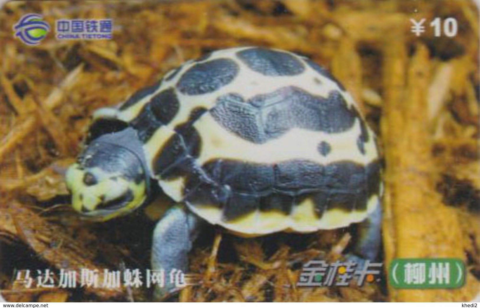 Télécarte Chine Tietong - Animal - TORTUE - TURTLE Phonecard - SCHILDKRÖTE Telefonkarte - 106 - Tortues