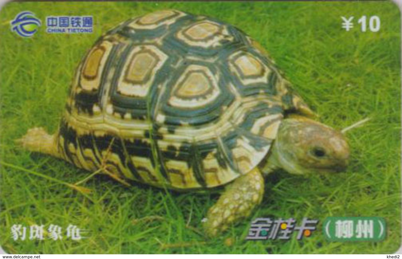 Télécarte Chine Tietong - Animal - TORTUE - TURTLE Phonecard - SCHILDKRÖTE Telefonkarte - 108 - Turtles