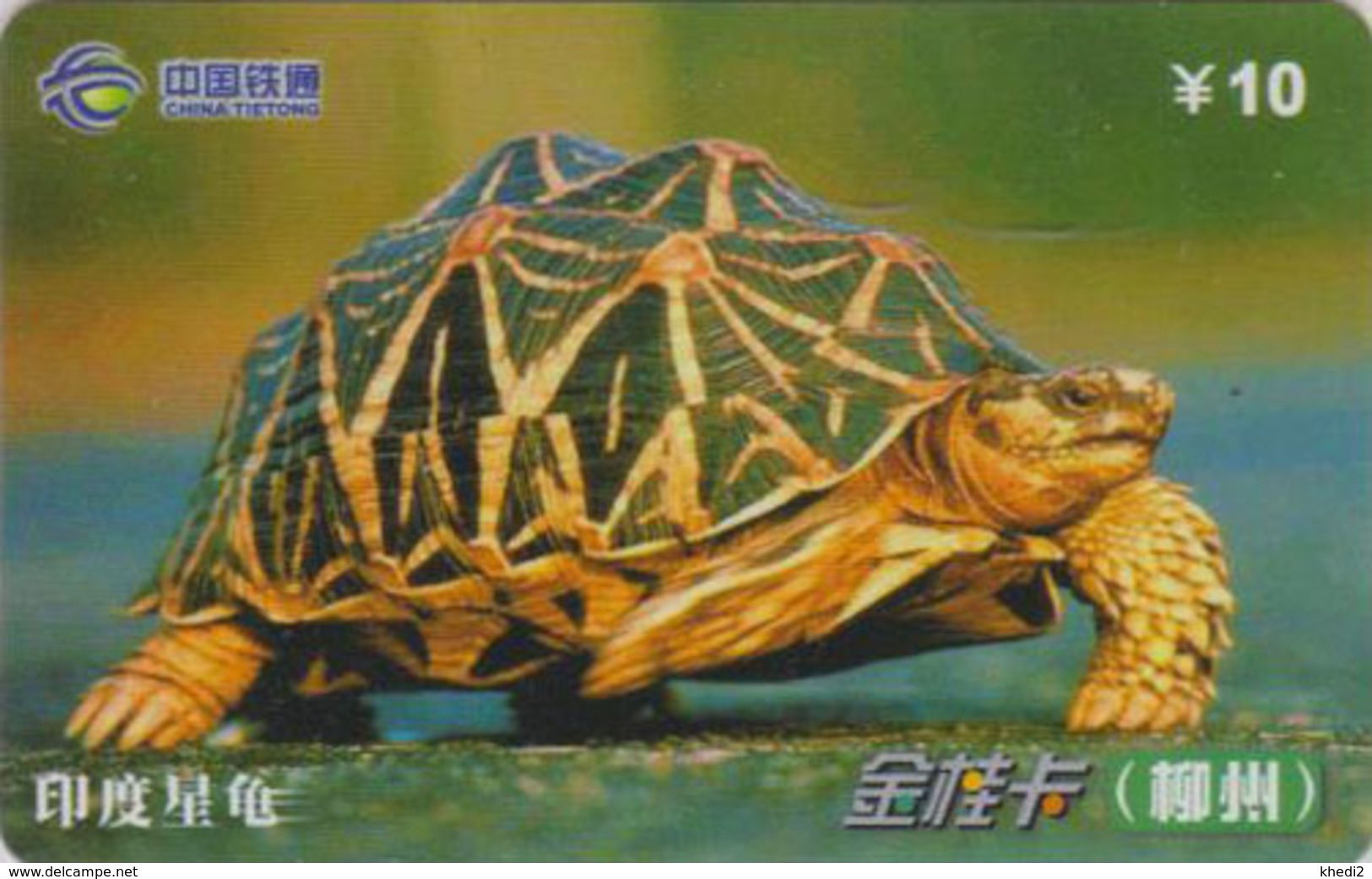 Télécarte Chine Tietong - Animal - TORTUE - TURTLE Phonecard - SCHILDKRÖTE Telefonkarte - 111 - Schildpadden