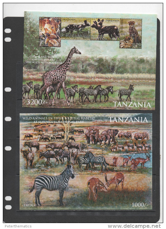 TANZANIA  ,2012, MNH,LIONS, CHEETAHS, WILD DOGS, ZEBRAS, ELEPHANTS, ZEBRAS, 2 SHEETLETS - Felinos