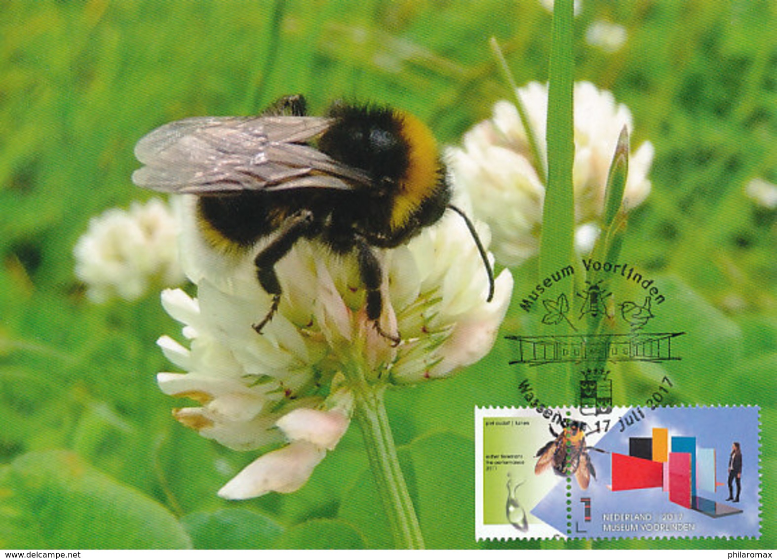 D35731 CARTE MAXIMUM CARD RR TRIPLE FD 2017 NETHERLANDS - BUMBLEBEE BOMBUS BOURDON CP ORIGINAL - Honingbijen