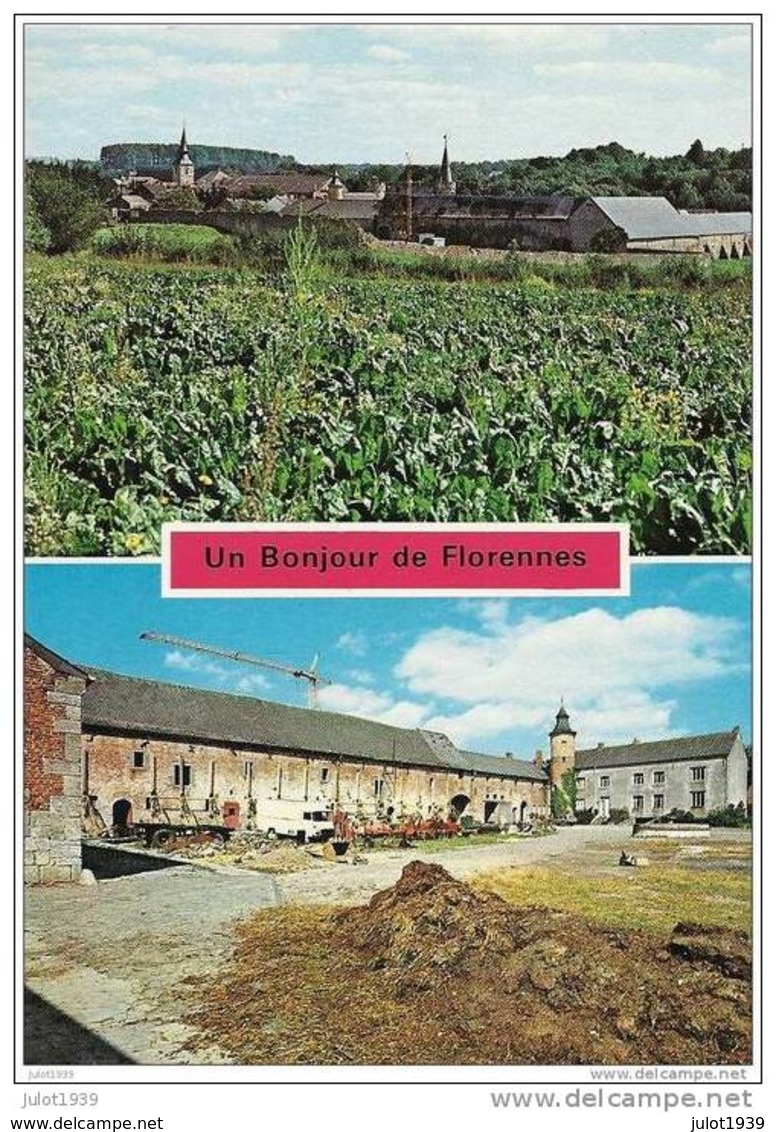 FLORENNES ..--  Un Bonjour De ... Ferme De L ' Abbaye . - Florennes