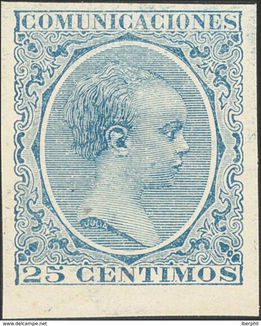 (*)221s. 1889. 25 Cts Azul, Borde De Hoja. SIN DENTAR. MAGNIFICO. - Otros & Sin Clasificación