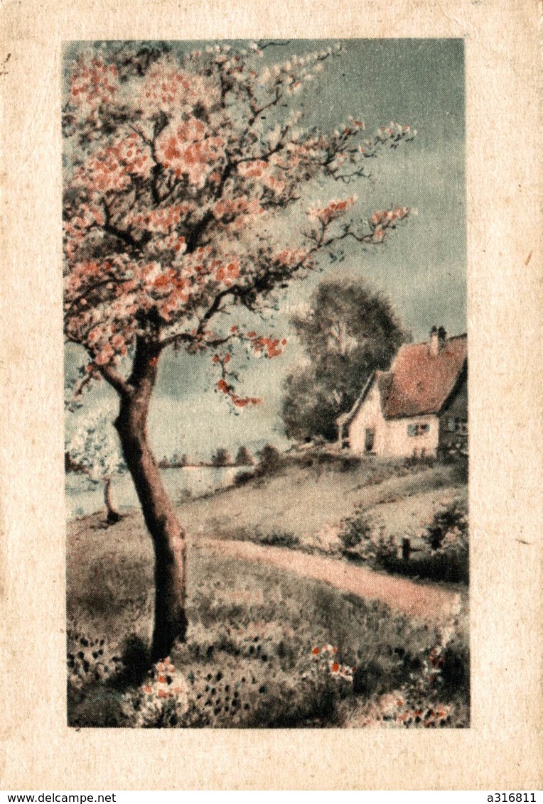 CALENDRIER - Small : 1901-20