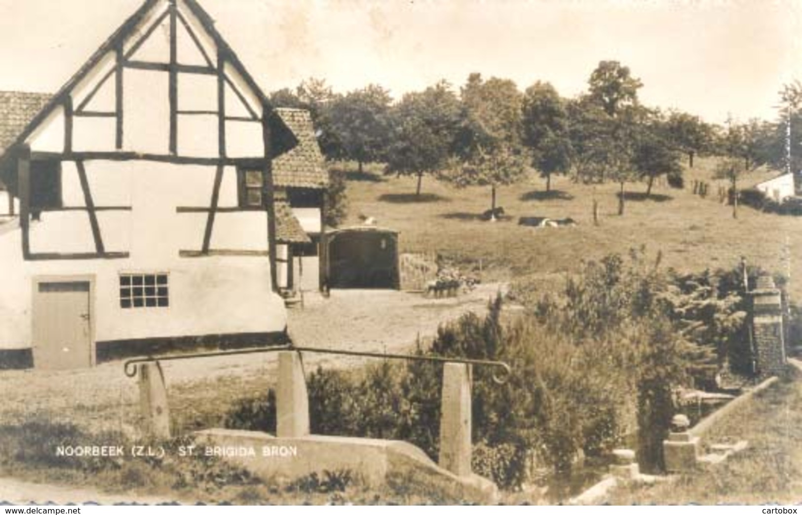 Noorbeek (Z.L.), St. Brigida Bron (type Fotokaart) - Andere & Zonder Classificatie