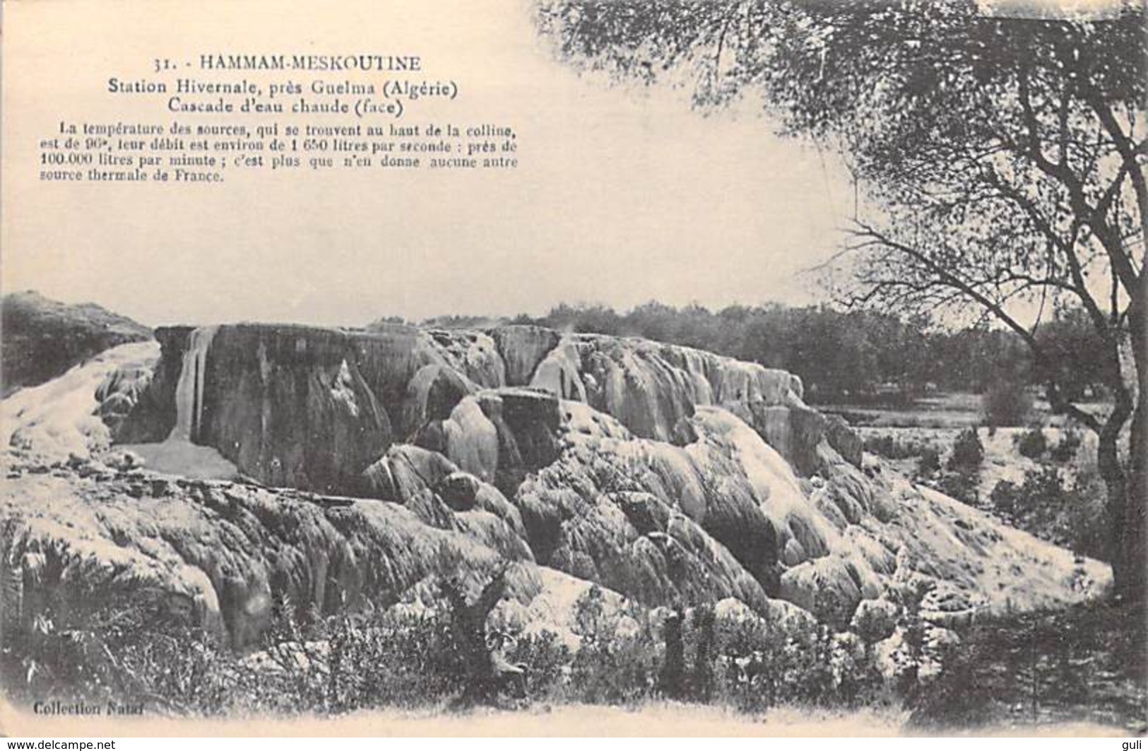 Algérie   HAMMAM-MESKOUTINE Près Guelma Station Hivernale Cascade D'eau Chaude (waterfall)(-Nataf 31)*PRIX FIXE - Guelma