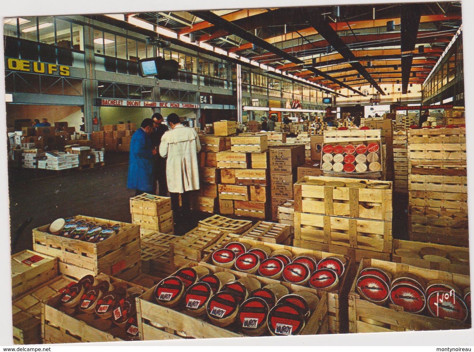 Val  De  Marne :   RUNGIS : Le  Marché D ' Intéret National ( Paris-rungis- Fromage  Camembert  ) - Rungis