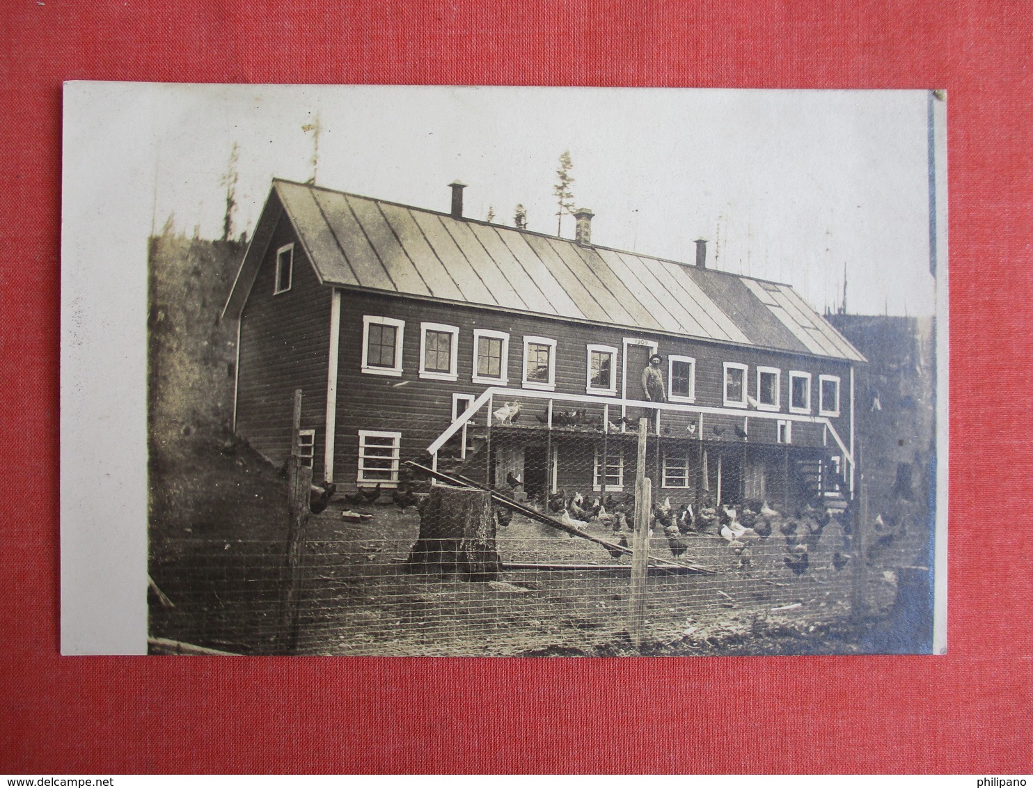 RPPC    Chicken Outside House   Ref. 3085 - Other & Unclassified