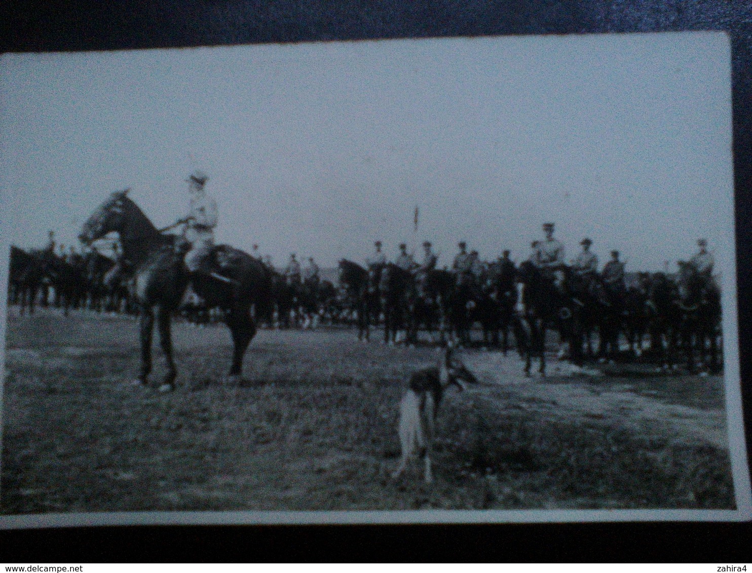 Troupe  à Cheval - Chien Berger Allemand - A Identifier - Guerre, Militaire