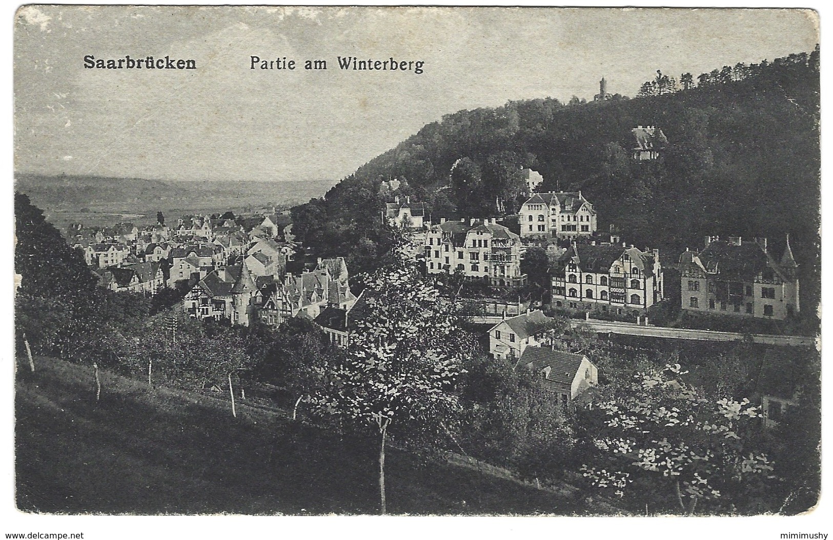 Saarbrucken - Partie Am Winterberg - Soldat Décembre 1918 - Saarbruecken