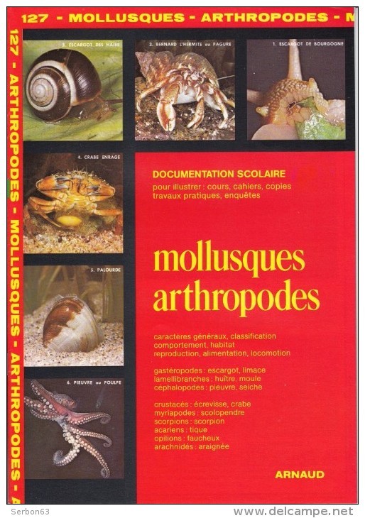 DOCUMENTATION SCOLAIRE EDITIONS ARNAUD N°127 MOLLUSQUES ARTHROPODES GASTÉROPODES LIVRET 16 PAGES COULEUR - SITE Serbon63 - Schede Didattiche