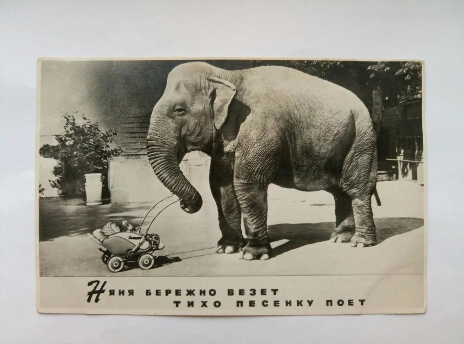 Corner Durov Circus Nanny Elephant Stroller Children 1957 - Elefanti