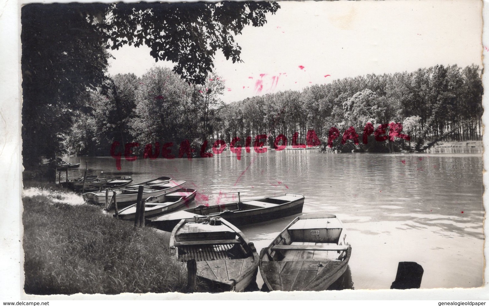 77 - VAIRES SUR MARNE - LES BORDS DE MARNE - Vaires Sur Marne