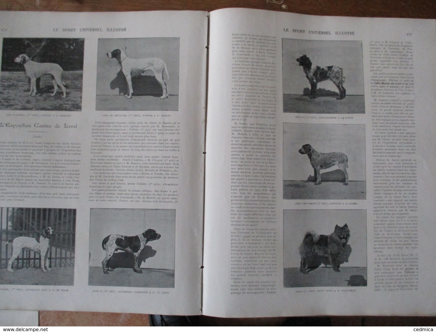 LE SPORT UNIVERSEL ILLUSTRE N°314 27 JUILLET 1902 VERRIE-SAUMUR,COURSE BRUXELLES-OSTENDE,LAVAL EXPOSITION CANINE - 1900 - 1949