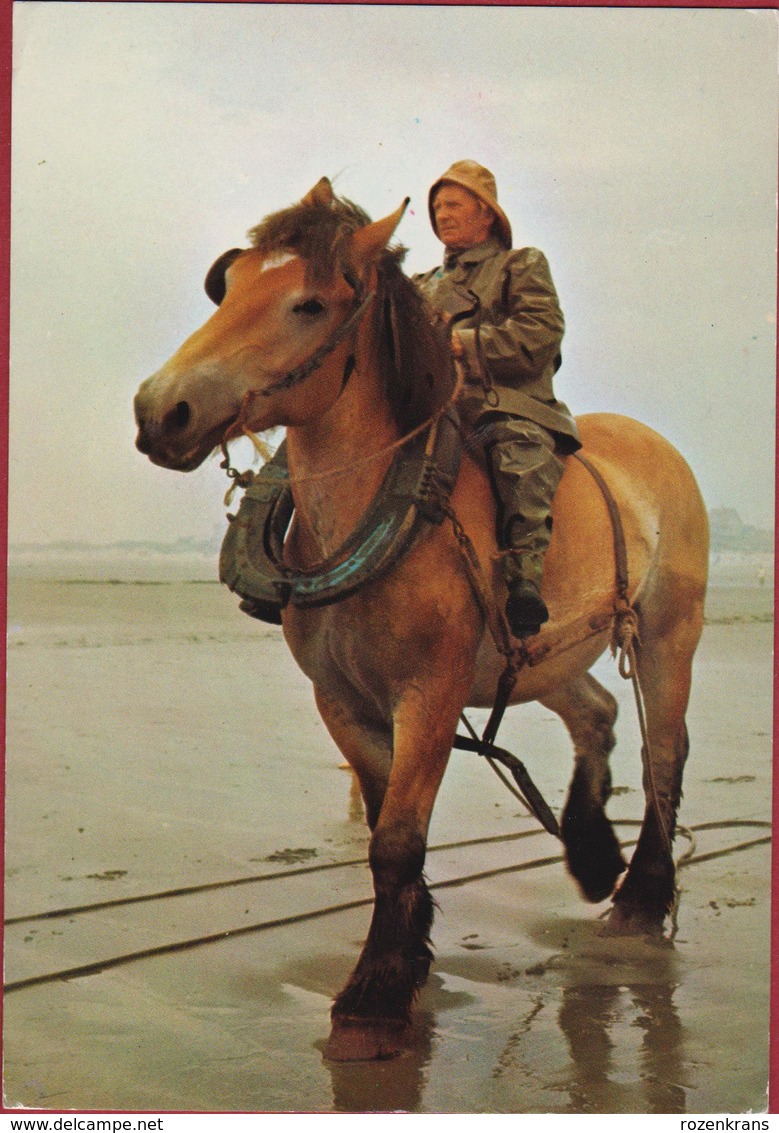 Grote Kaart Grand Format Garnaalvisser Te Paard Afgestempeld Koksijde Oostduinkerke (1978-1979) - Koksijde