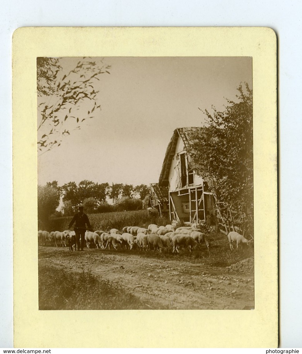 France Alentour De Boulogne Sur Mer Vie à La Ferme Berger Moutons Ancienne Photo 1900 - Old (before 1900)