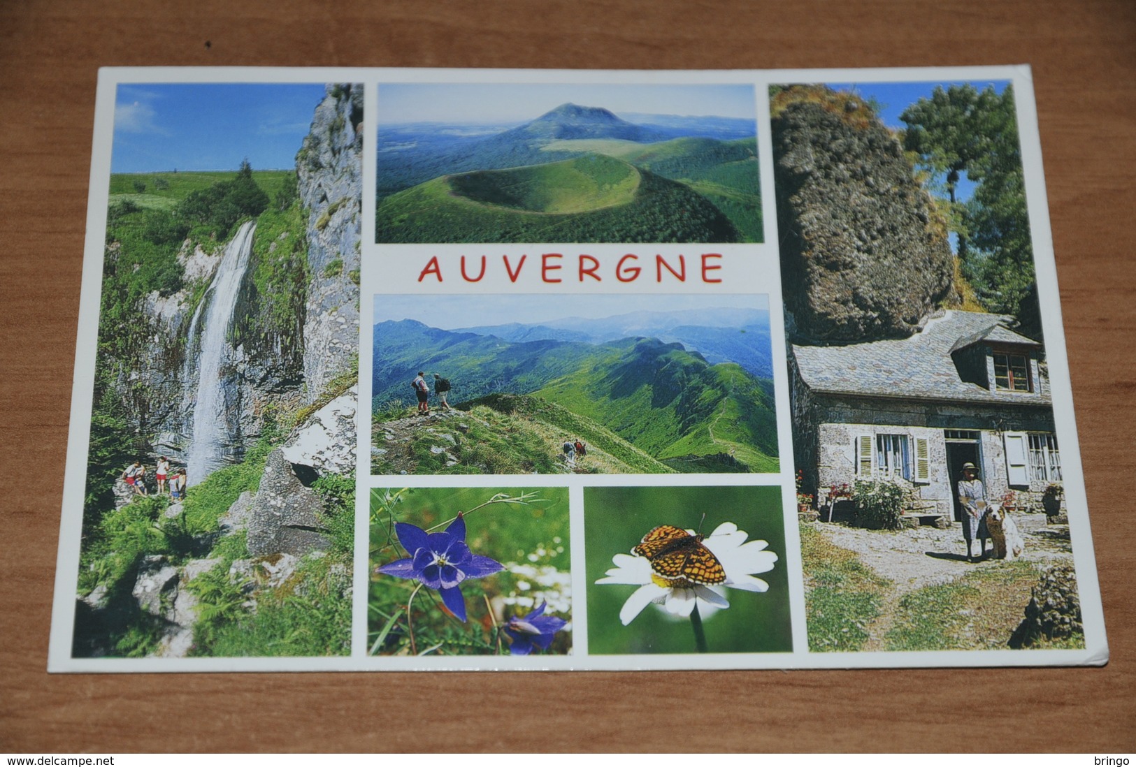 6355-  AUVERGNE - Auvergne Types D'Auvergne