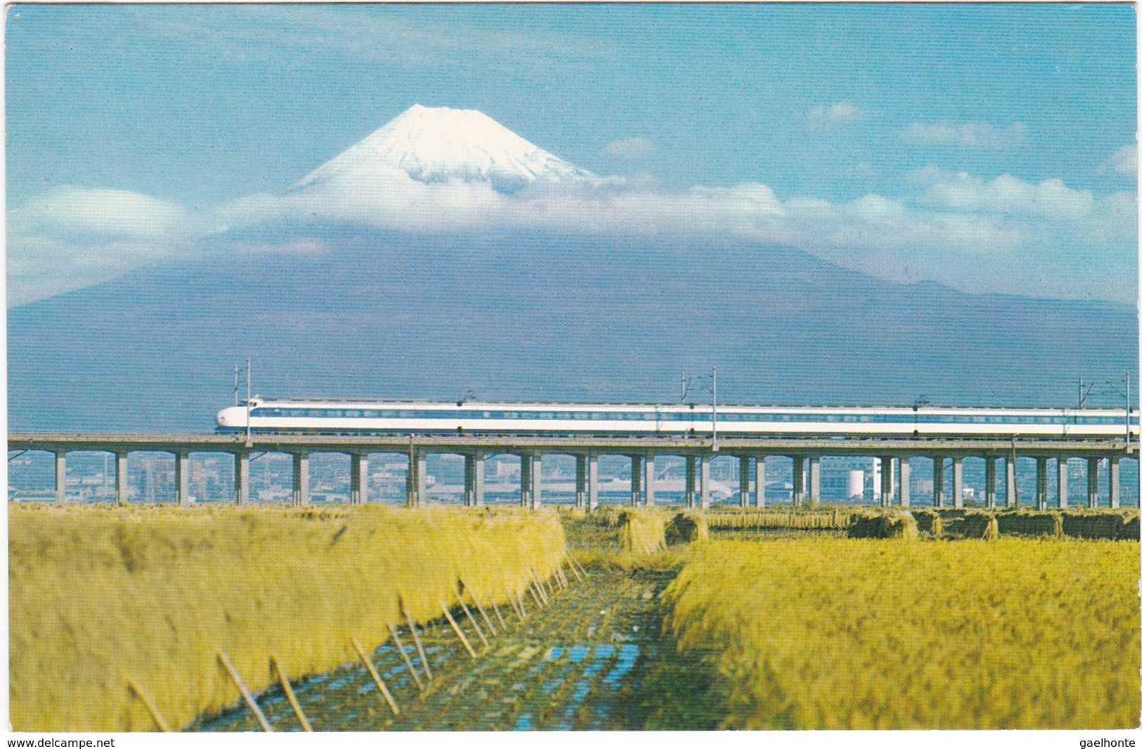 1243 TRAIN EN 1er PLAN - MONT FUJI EN 2nd PLAN - Other & Unclassified