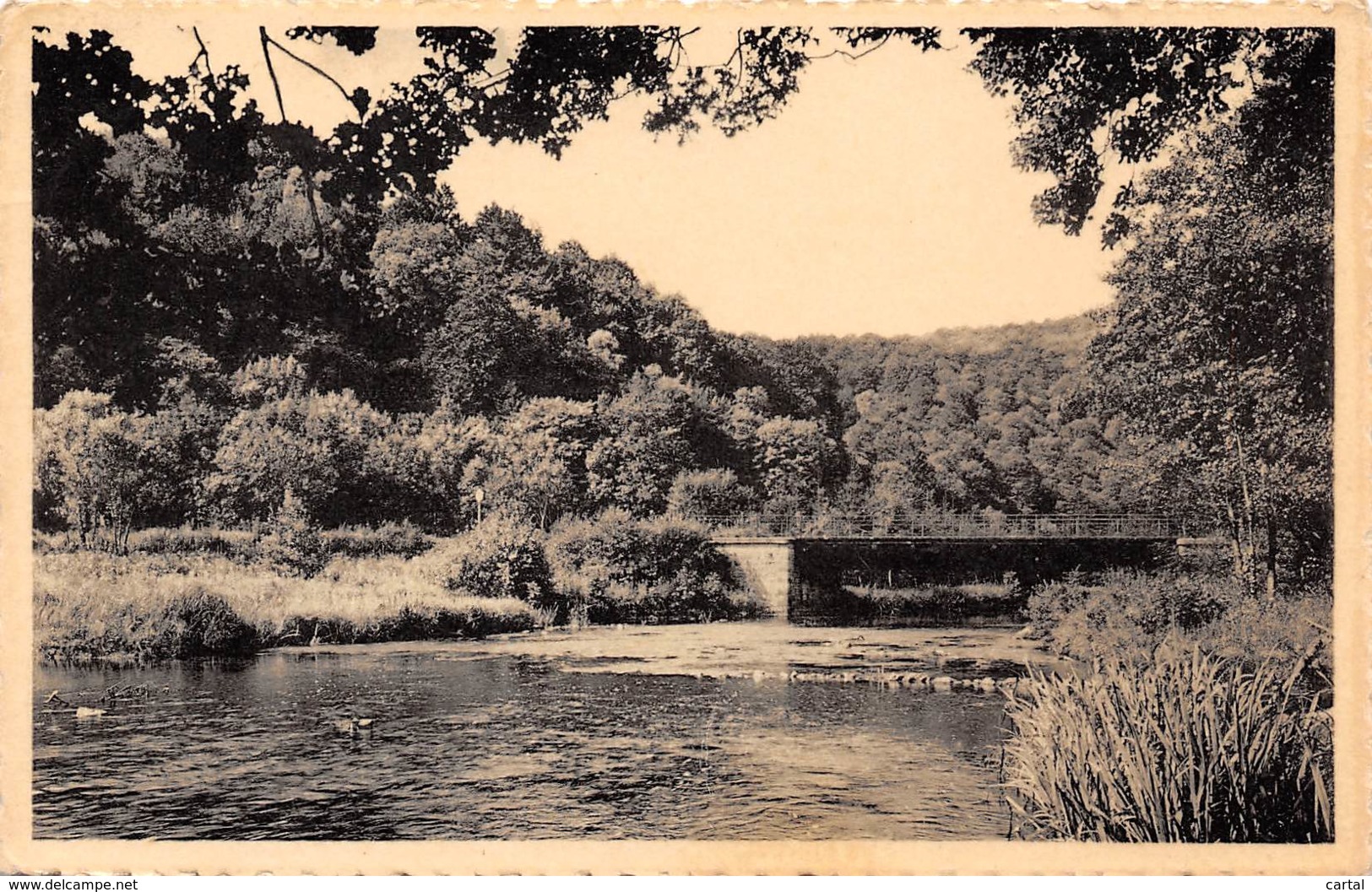 NEUPONT S/LESSE - Le Pont Du Ry Des Glands - Wellin