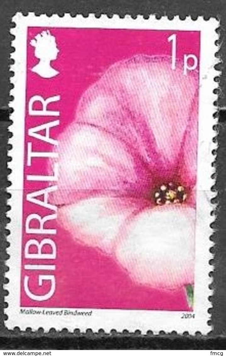 2004 Mallow-Leaved Bindweed, 1p, Used - Gibraltar