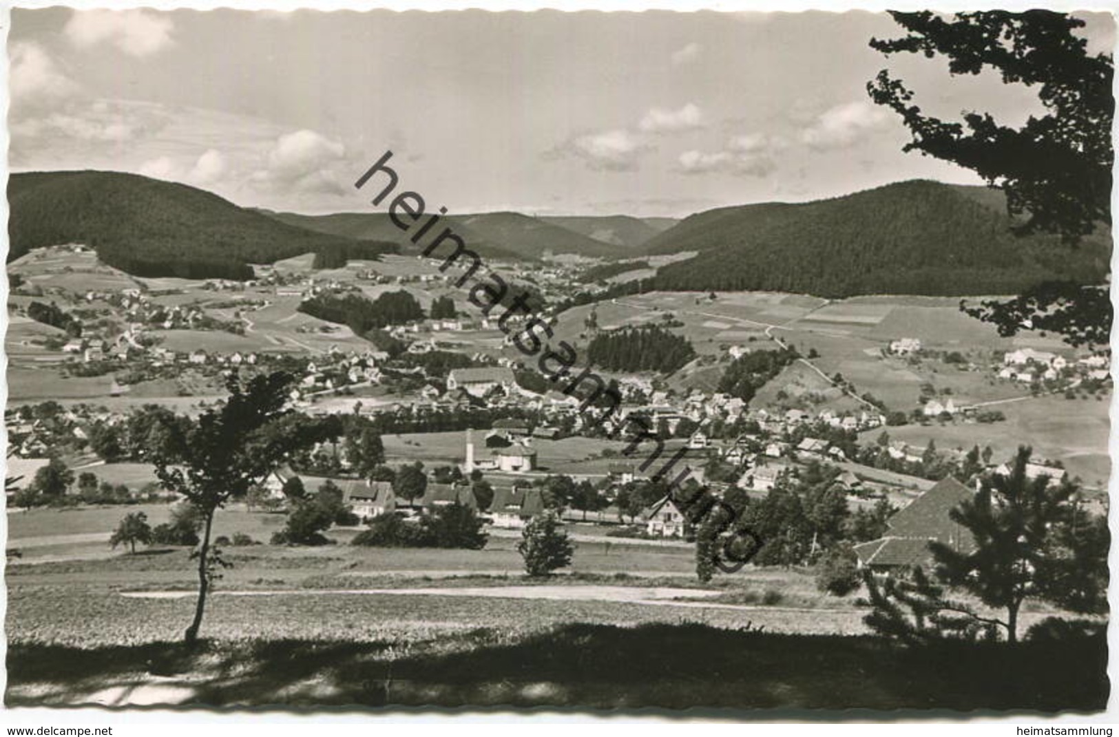 Baiersbronn - Panorama - Foto-AK 60er Jahre - Verlag Müller Freudenstadt - Baiersbronn