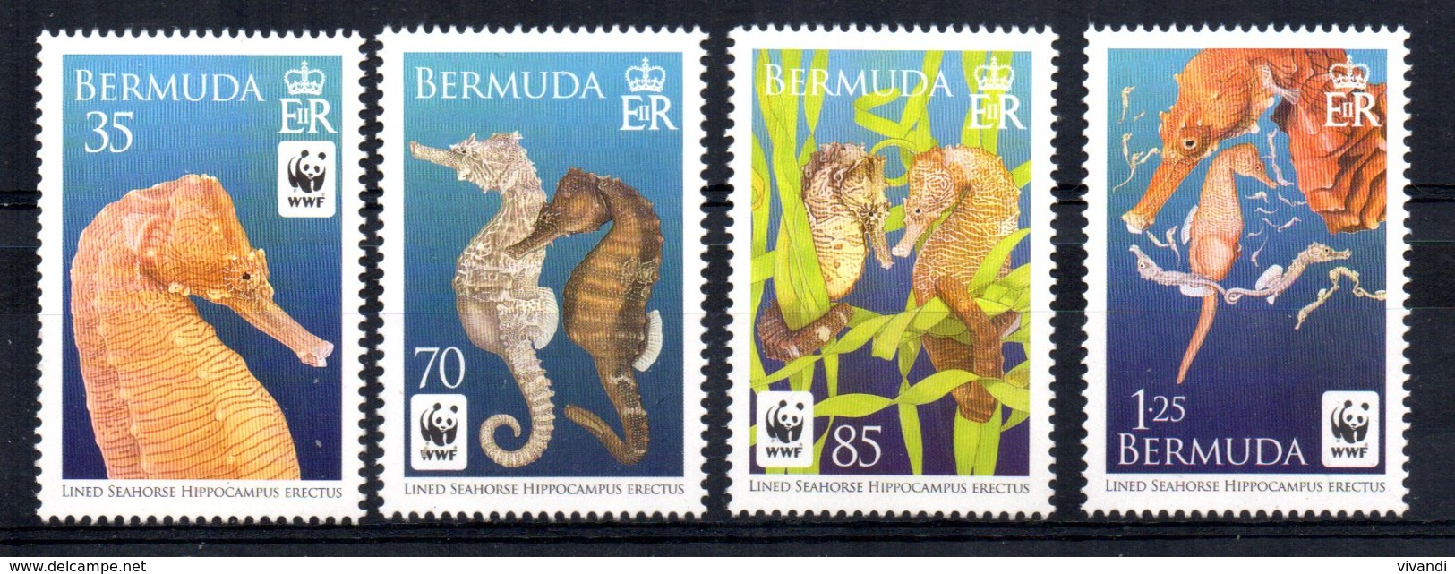 Bermuda - 2010 - Endangered Species/Seahorses - MNH - Bermudes