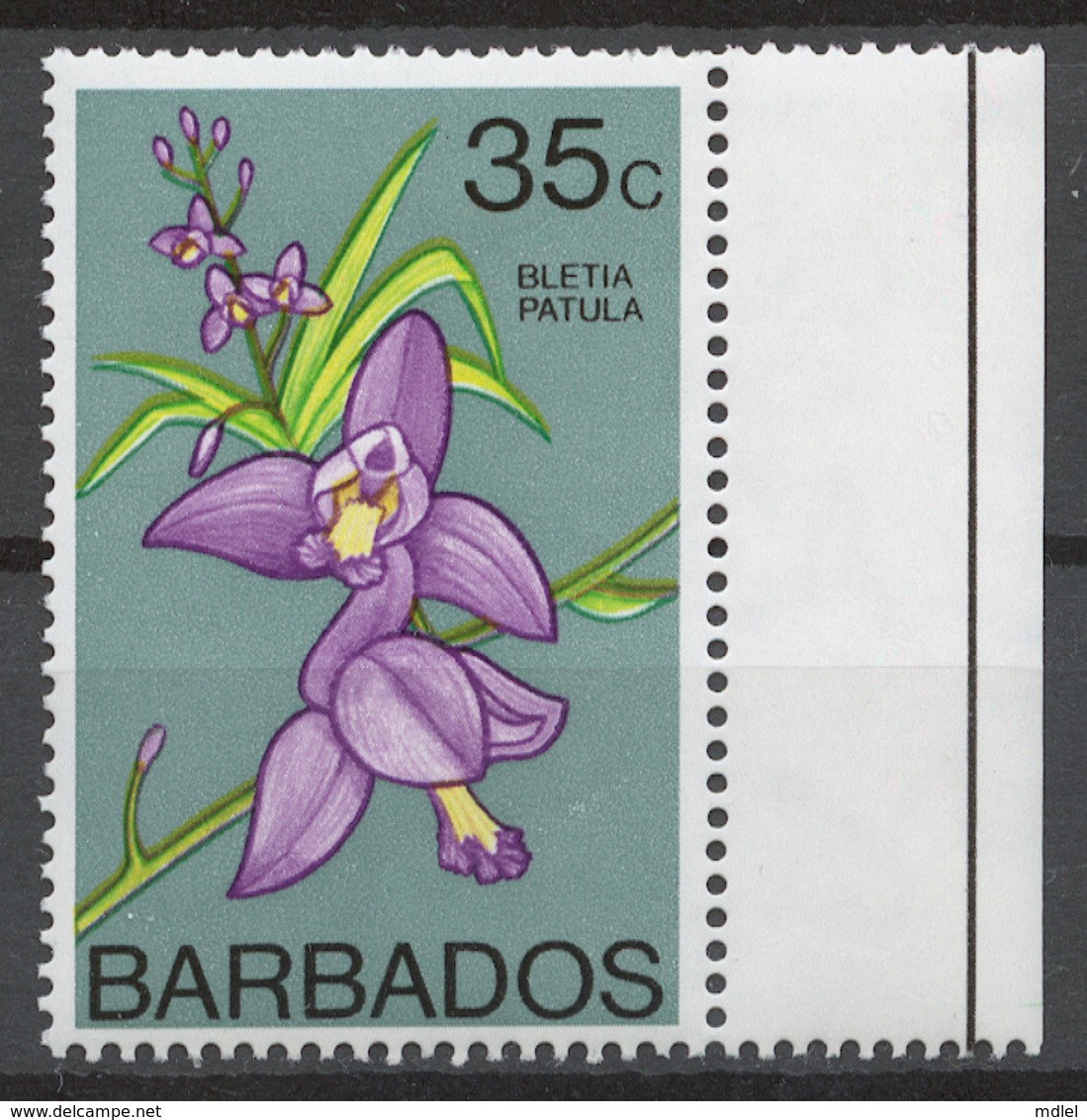 Barbados 1974-79 Mi# 375X** DEFINITIVE, FLOWERS - Barbades (1966-...)