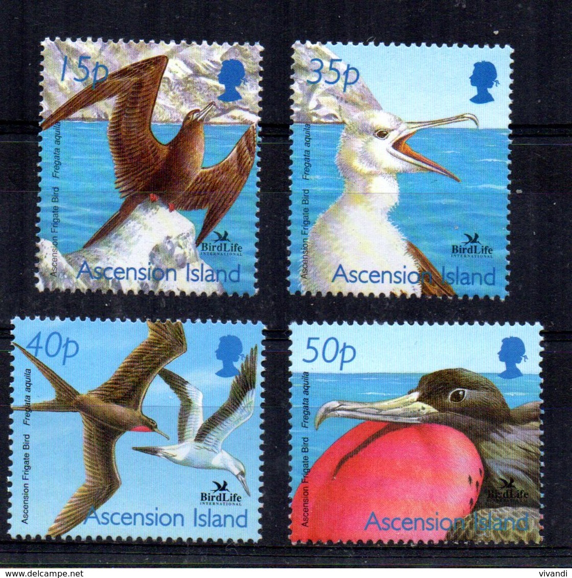 Ascension Island - 2001 - World Bird Festival (1st Series) - MNH - Ascension (Ile De L')