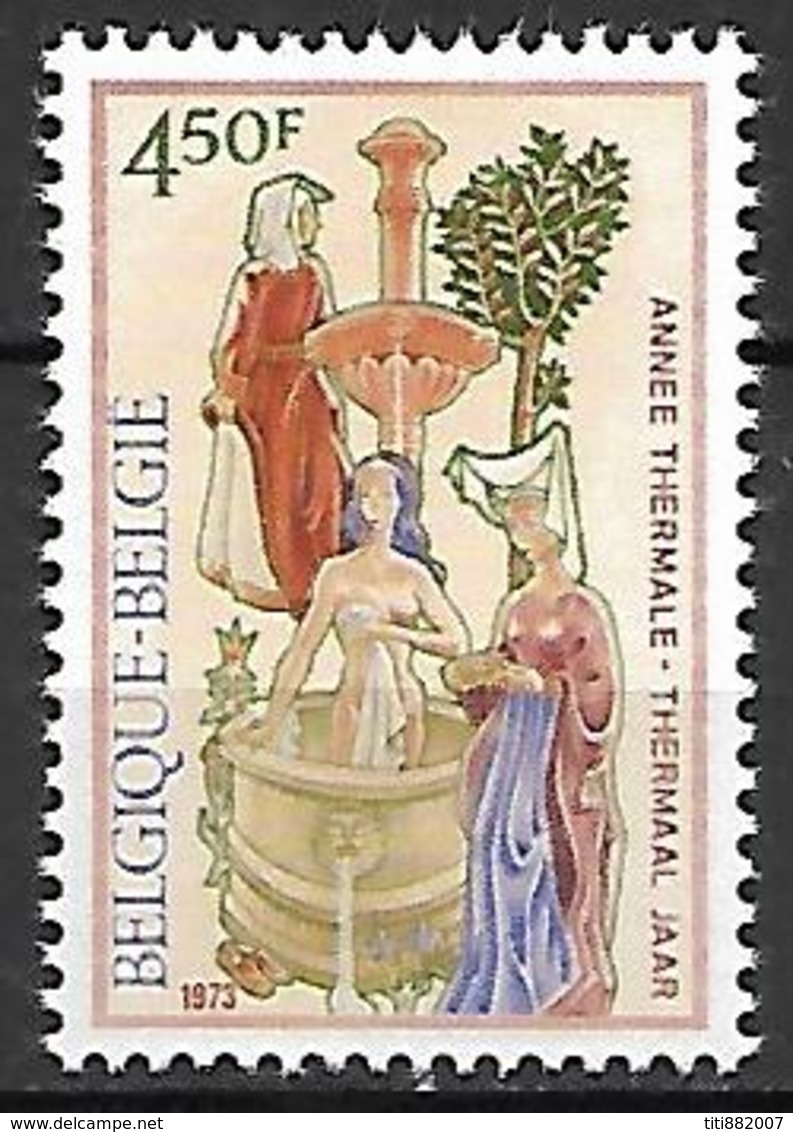 BELGIQUE     -  1973  .  Y&T N° 1675 * .  Thermalisme - Unused Stamps