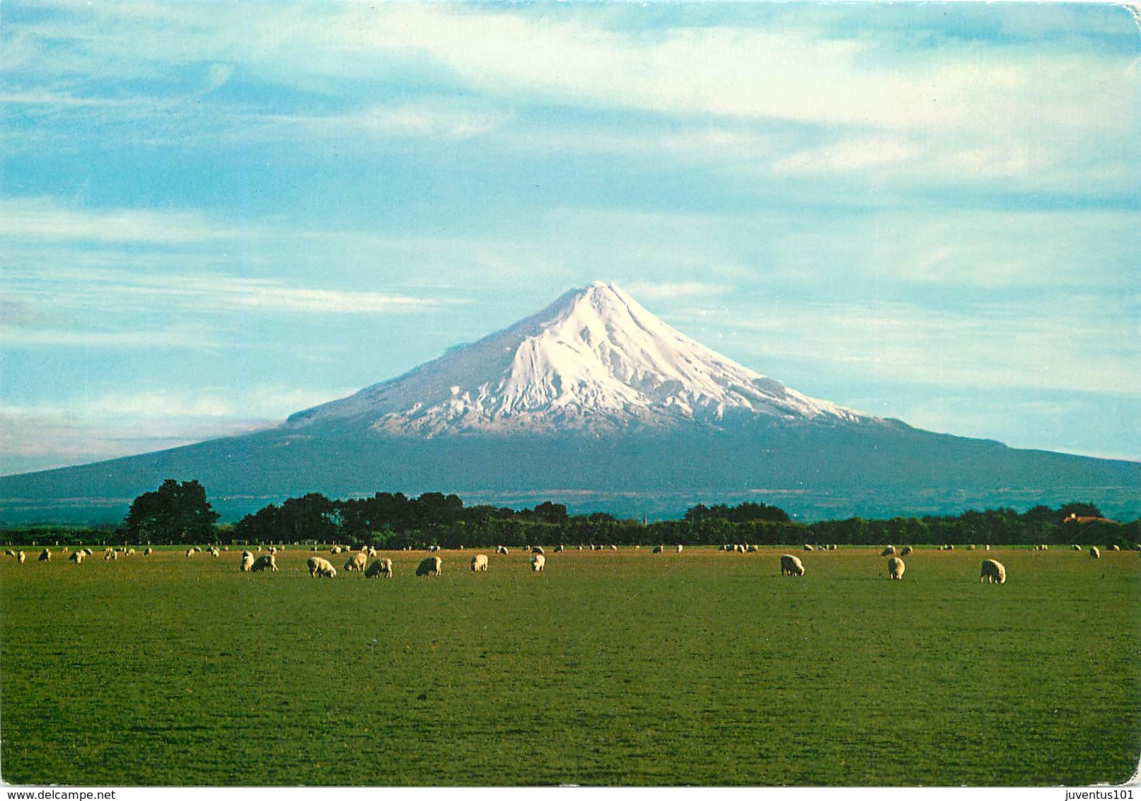 CPSM Nouvelle Zélande-Mount Egmont                                      L2722 - Nouvelle-Zélande