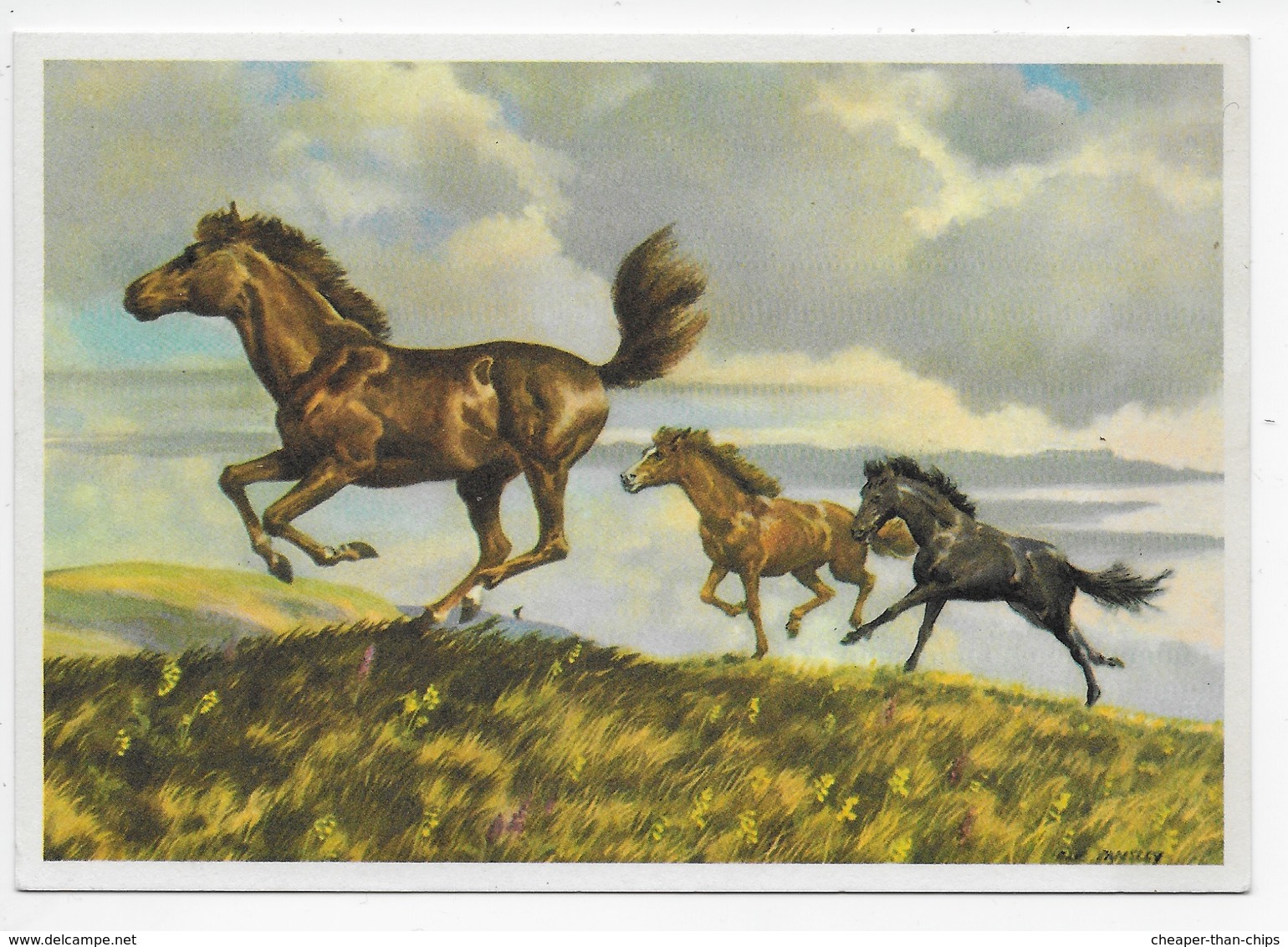 Modern Card - Spring Gallop - Artist Eric Tansley - Horses