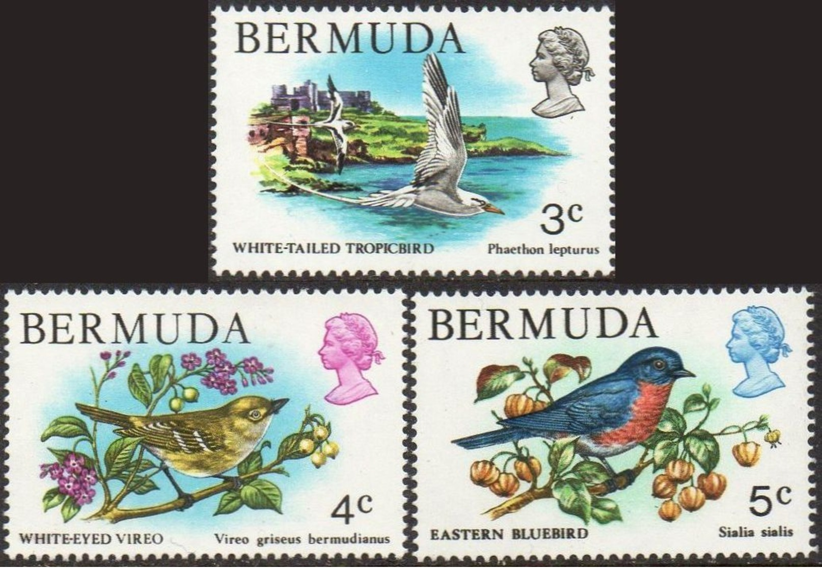 BERMUDA 1978 Birds (3 Values) MNH - Bermuda
