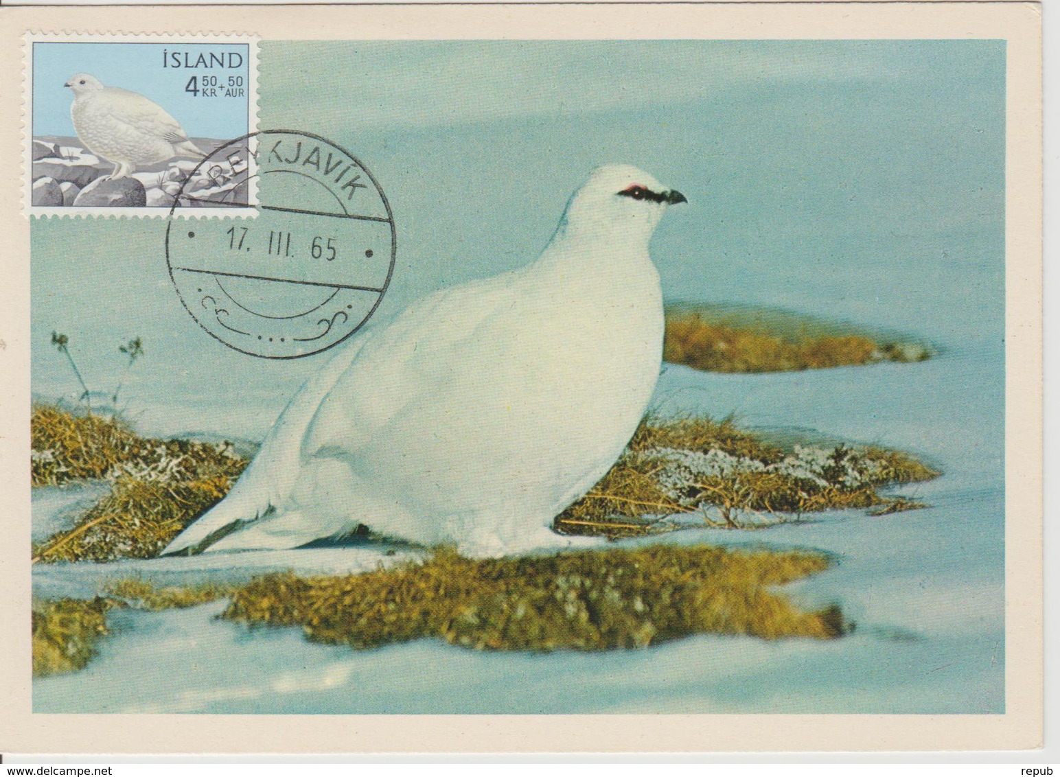 Islande Carte Maximum Oiseau 1965 Lagopède 344 - Cartoline Maximum