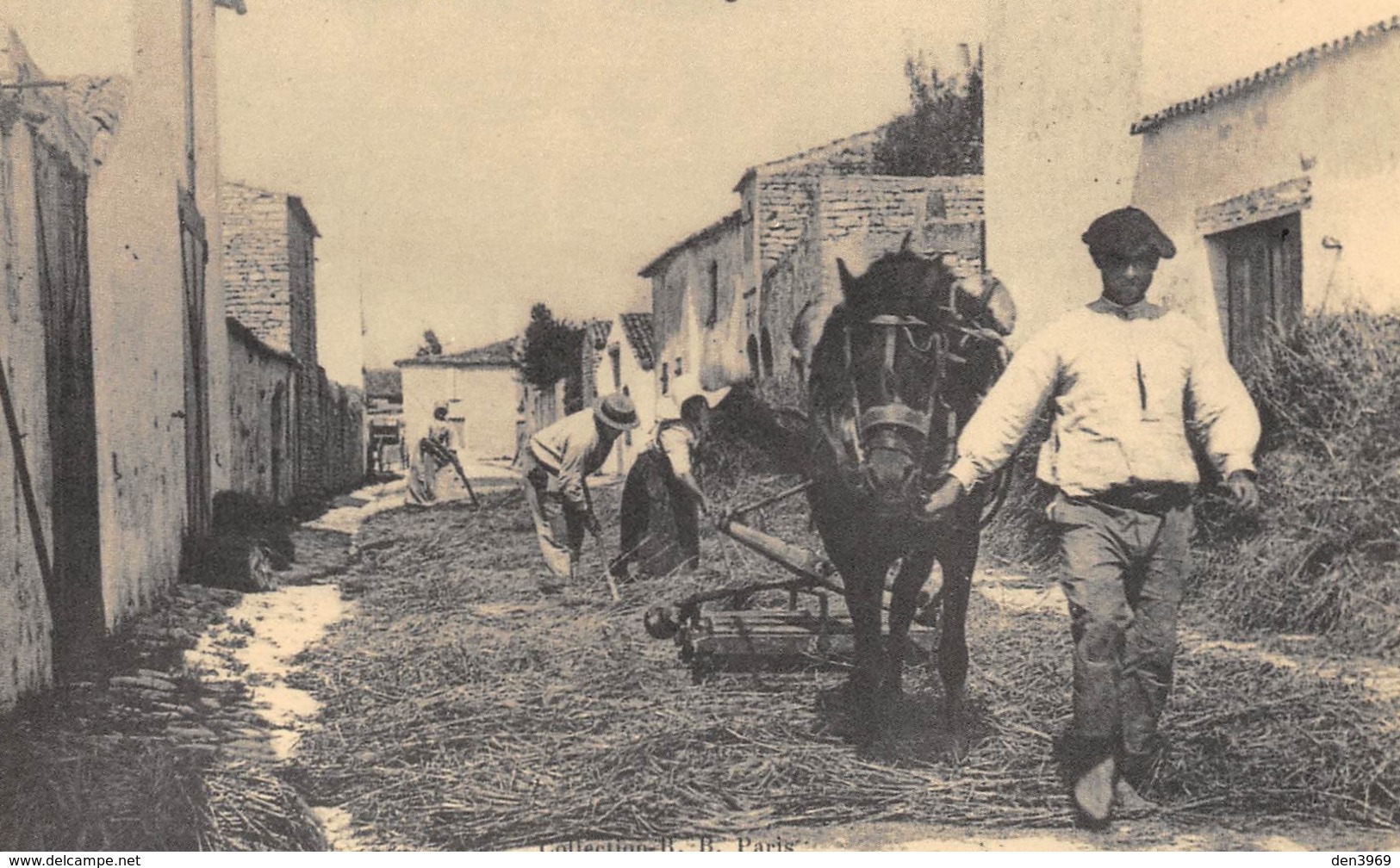 Ile De Ré - Le Battage Du Blé - Attelage De Cheval - Cecodi N'875 - Ile De Ré