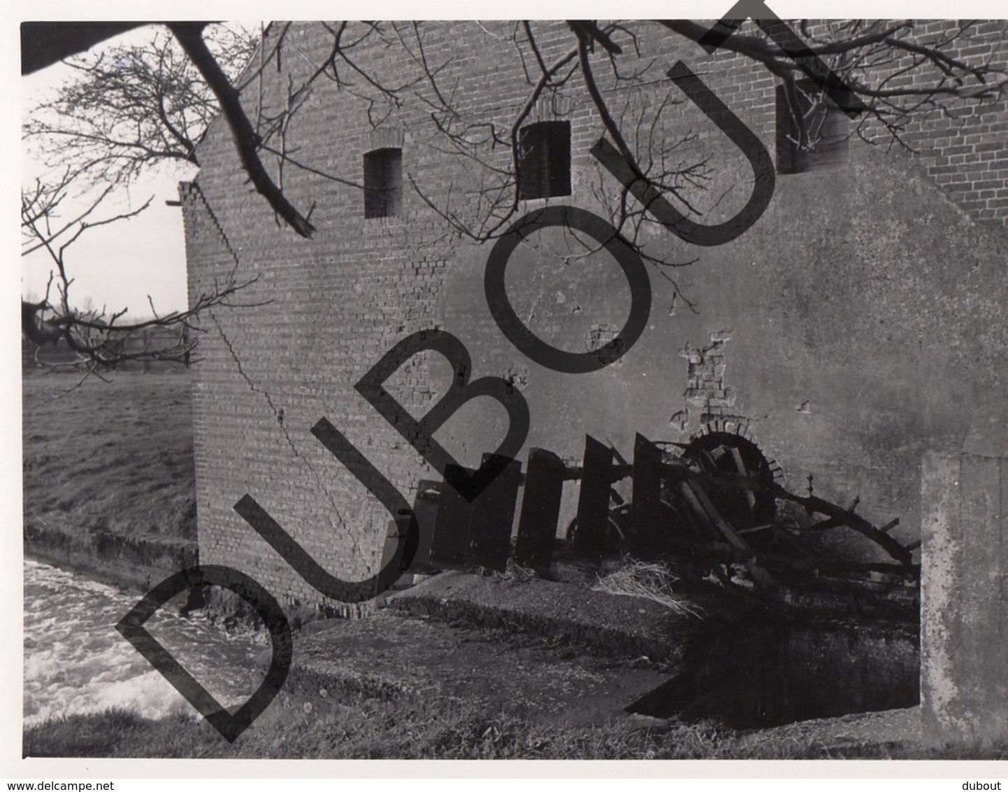 Paal Molen/Moulin Foto E67 - Beringen